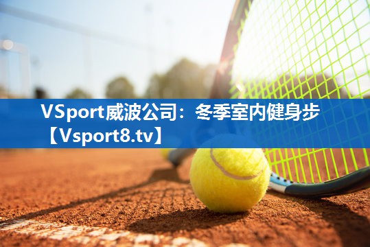 VSport威波公司：冬季室内健身步