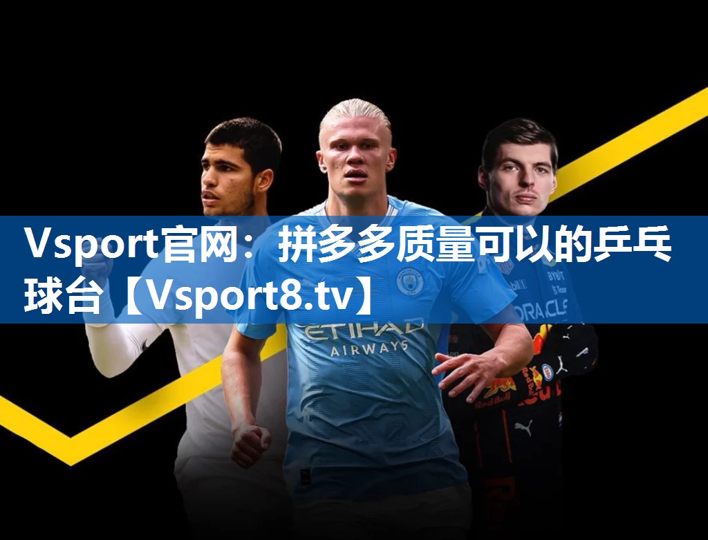 <strong>Vsport官网：拼多多质量可以的乒乓球台</strong>