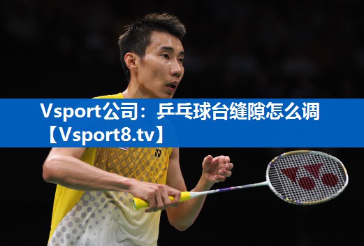 <strong>Vsport公司：乒乓球台缝隙怎么调</strong>