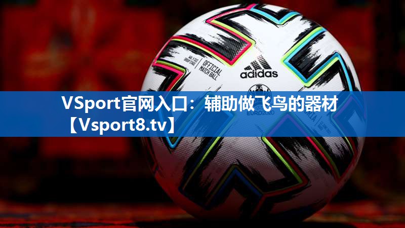 <strong>VSport官网入口：辅助做飞鸟的器材</strong>