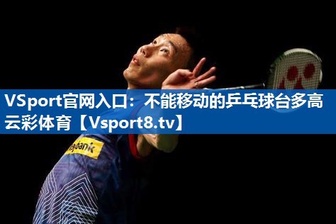 VSport官网入口：不能移动的乒乓球台多高云彩体育