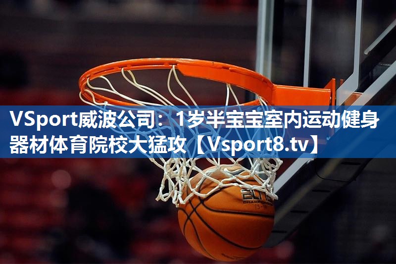 VSport威波公司：1岁半宝宝室内运动健身器材体育院校大猛攻