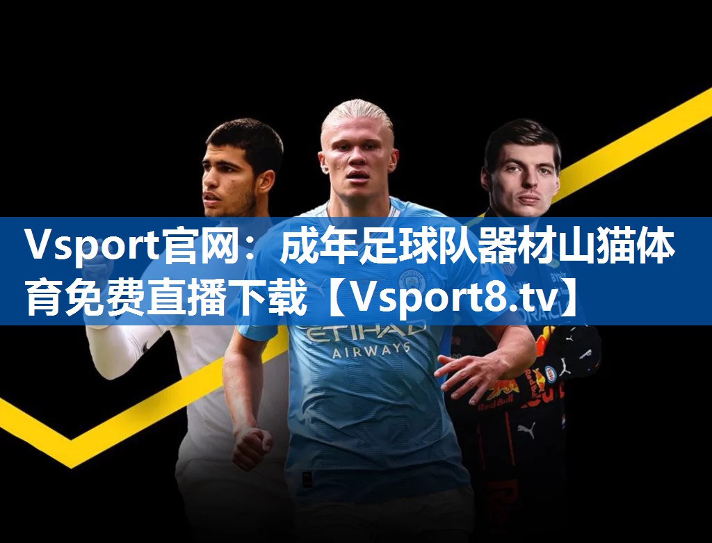 Vsport官网：成年足球队器材山猫体育免费直播下载