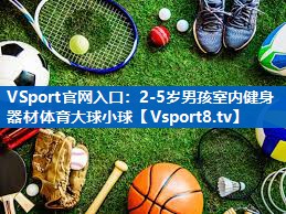 <strong>VSport官网入口：2-5岁男孩室内健身器材体育大球小球</strong>