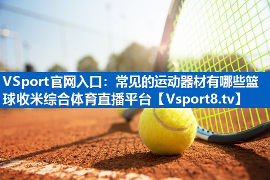 <strong>VSport官网入口：常见的运动器材有哪些篮球收米综合体育直播平台</strong>