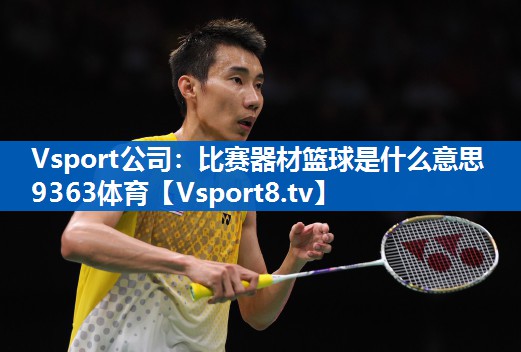 <strong>Vsport公司：比赛器材篮球是什么意思9363体育</strong>