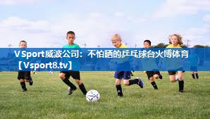 VSport威波公司：不怕晒的乒乓球台火博体育