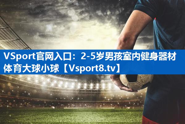 <strong>VSport官网入口：2-5岁男孩室内健身器材体育大球小球</strong>