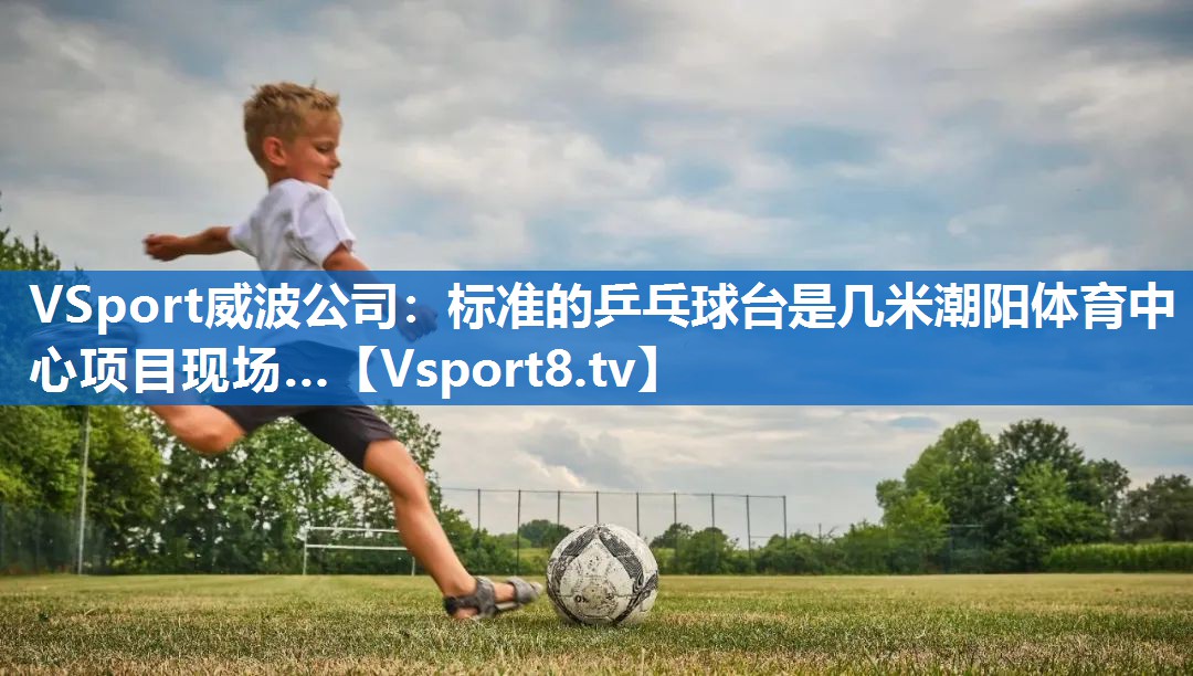 <strong>VSport威波公司：标准的乒乓球台是几米潮阳体育中心项目现场…</strong>