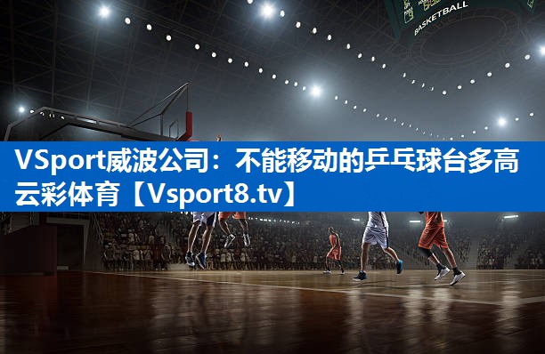 <strong>VSport威波公司：不能移动的乒乓球台多高云彩体育</strong>