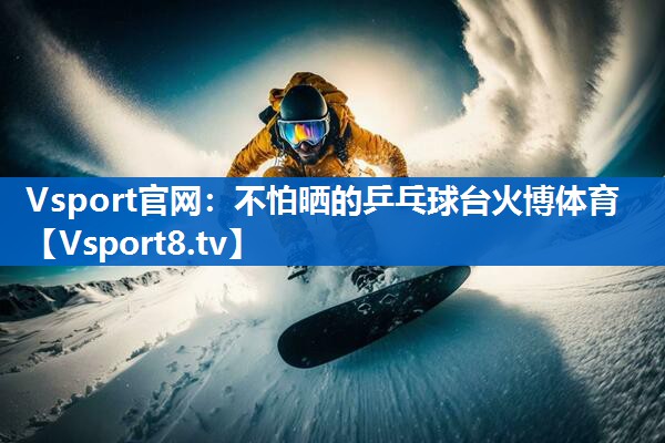 Vsport官网：不怕晒的乒乓球台火博体育