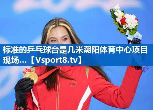 标准的乒乓球台是几米潮阳体育中心项目现场…