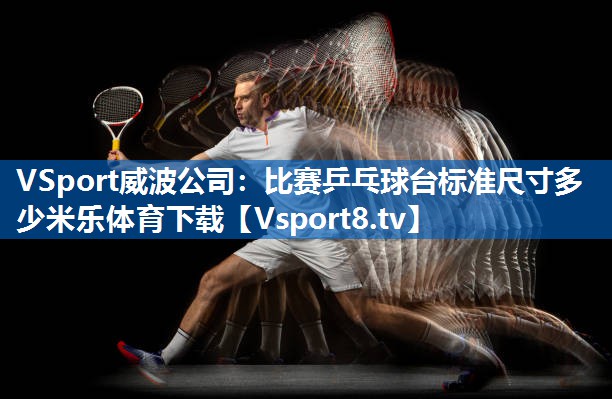 VSport威波公司：比赛乒乓球台标准尺寸多少米乐体育下载