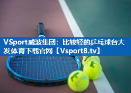 VSport威波集团：比较轻的乒乓球台大发体育下载官网