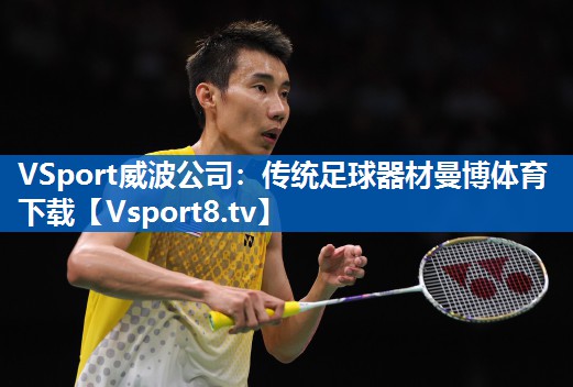 <strong>VSport威波公司：传统足球器材曼博体育下载</strong>