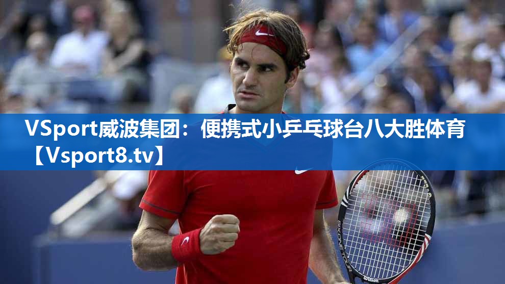 VSport威波集团：便携式小乒乓球台八大胜体育