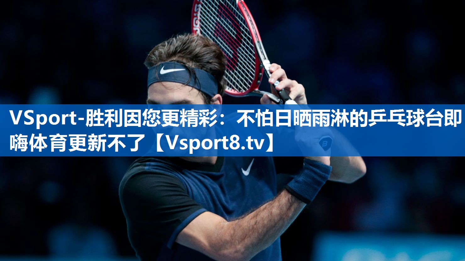 VSport-胜利因您更精彩：不怕日晒雨淋的乒乓球台即嗨体育更新不了