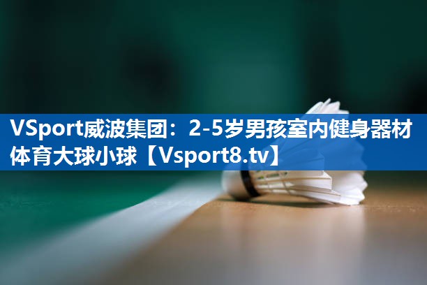 VSport威波集团：2-5岁男孩室内健身器材体育大球小球