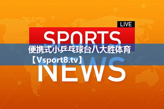 便携式小乒乓球台八大胜体育