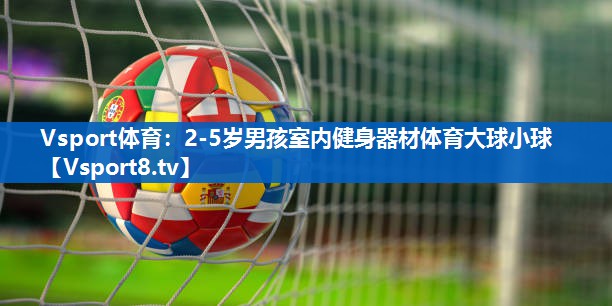 Vsport体育：2-5岁男孩室内健身器材体育大球小球