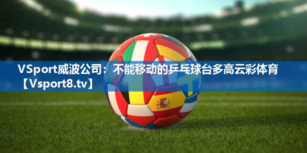 VSport威波公司：不能移动的乒乓球台多高云彩体育