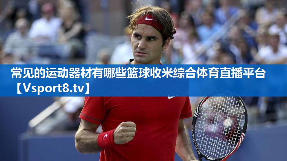 <strong>常见的运动器材有哪些篮球收米综合体育直播平台</strong>