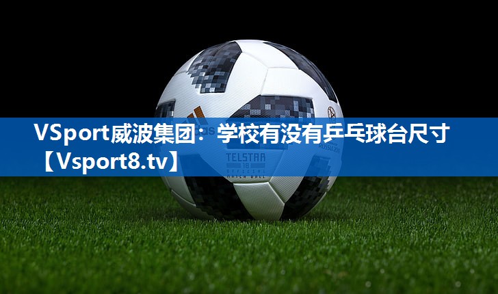 VSport威波集团：学校有没有乒乓球台尺寸