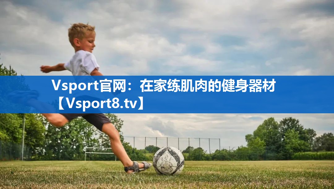 Vsport官网：在家练肌肉的健身器材