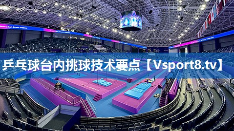 乒乓球台内挑球技术要点