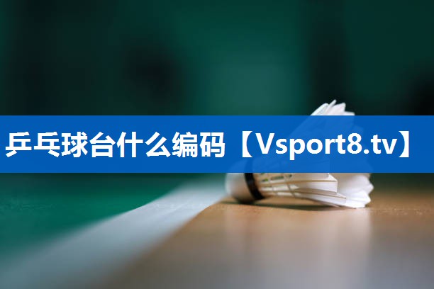 乒乓球台什么编码