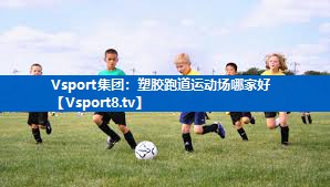 Vsport集团：塑胶跑道运动场哪家好