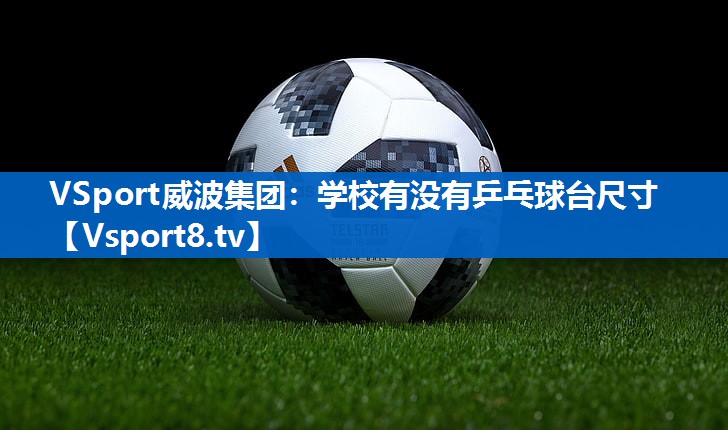 学校有没有乒乓球台尺寸